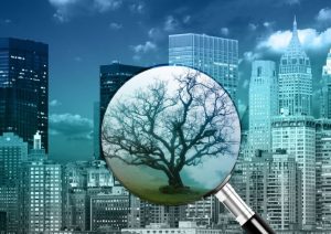 Climate fund allots