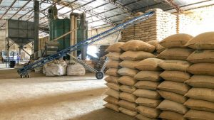 Packaging of foodgrain