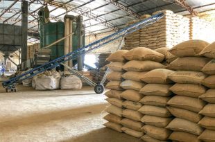 Packaging of foodgrain