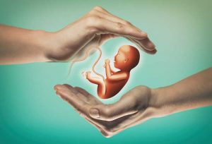 commercial surrogacy passed in LS