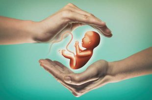 commercial surrogacy passed in LS