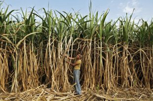 farmers in distress