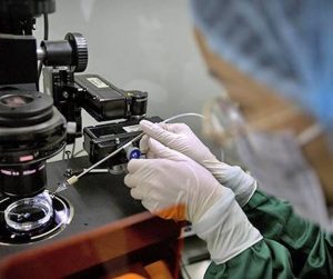 ‘China halts work on gene-editing babies’