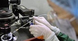 ‘China halts work on gene-editing babies’