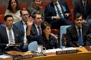 Israel rejects UN Council censure motion