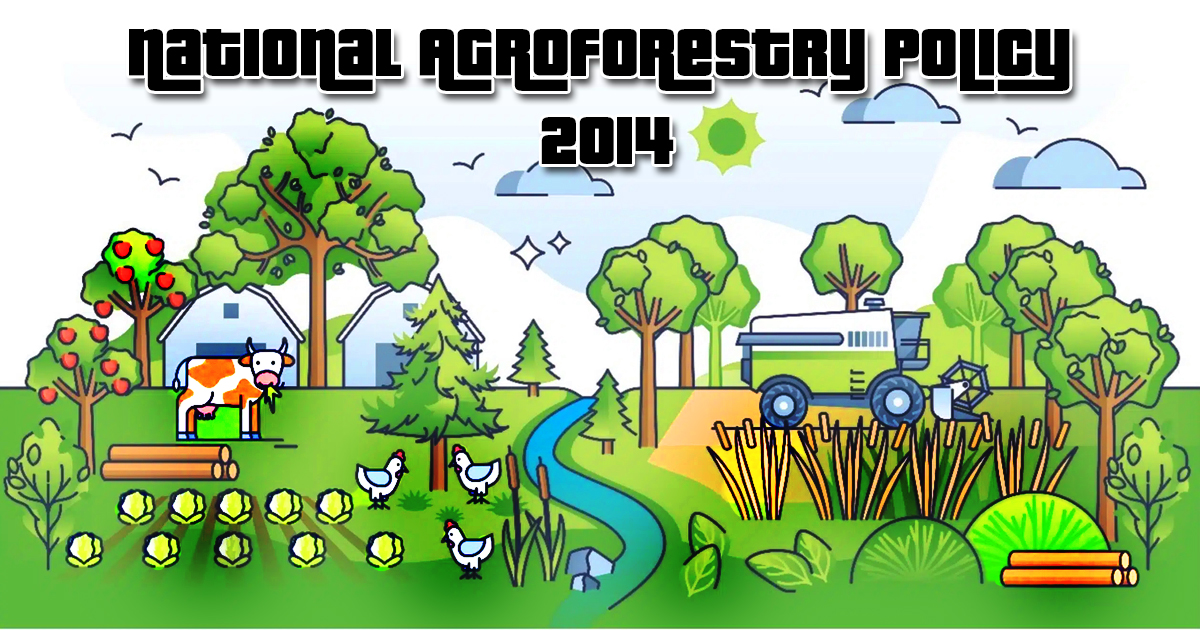 national agroforestry policy