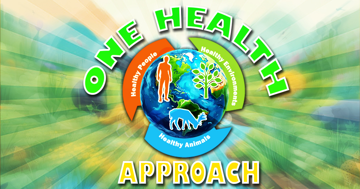 one health approach